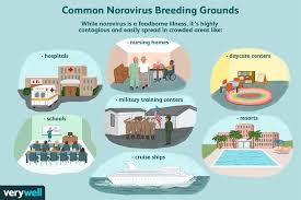 While it passes in a couple of days, it is easily transmitted through contact with infected individuals or contaminated surfaces. Norovirus Overview And More