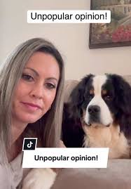 Antibark Box Review Dachuna