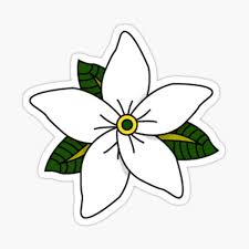 Needless to say, this flower has become a symbol of love, purity, devotion, dedication, strength. Sampaguita Gifts Merchandise Redbubble