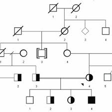 A Standard Pedigree Tree At Family Tree Maker 2005