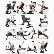 The reverse hyperextension is a legendary lower body exercise. Weight Benches For Sale Ebay