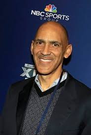 Detroit Lions: Tony Dungy's criticism cuts deep