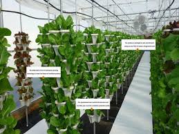 Actually hydroponic culture of yucca is not a good idea, because as you know mostly hydroponics is done for leafy vegetables. Hydroponics Design Ideas App Store Data Revenue Download Estimates On Play Store