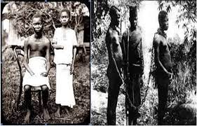 Belçika, kongo topraklarında bulunan ve çok karlı bir ürün olan kauçuk. Belcika Nin Kara Tarihi Kral Ii Leopold Un Kongo Katliami Afam Afrika Arastirmacilari Dernegi