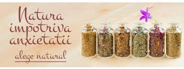 10 remedii pentru a combate atacurile de panică. 7 Remedii Naturiste In Caz De Anxietate Blog Putereaplantelor Ro