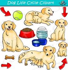 Pin On Classroom Materials Resources