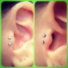 Double Tragus Piercing Tragus Piercings Double Tragus Piercing Piercing