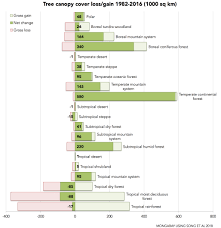 Earth Has More Trees Now Than 35 Years Ago