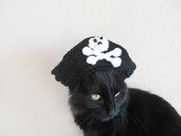 Cat Pirate Hat Knit Cat Hat Cat Halloween Costume Pet Halloween Costume Cat Photo Pro Cat Halloween Costume Pet Pet Halloween Costumes Stitch Dog Costume