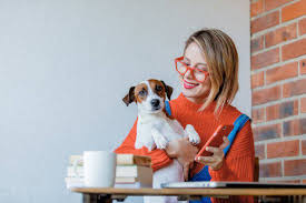 Giornata mondiale del cane, foto pixabay. Giornata Mondiale Del Cane In Ufficio 2020 Come Celebrare Questo Evento