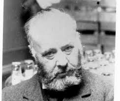 John Willis and the businesses set up by his sons