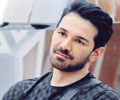 Abhinav ludhiana , pencap da doğdu. Abhinav Shukla Movie Photo Social Account Biography English Hindi