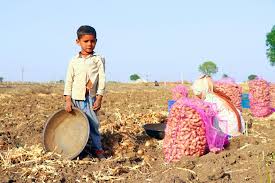 We did not find results for: Le Travail Infantile En Inde Humanium