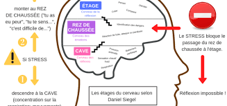 Les Etages Du Cerveau Pour Mieux Comprendre Les Reactions Emotionnelles Des Enfants Cerveau Emotionnel Etages