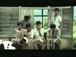 Suara memikat burung murai kampung burung murai kampung (bahasa inggeris: Iklan Raya Petronas 7 Beradik Youtube