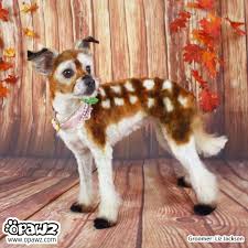 Opawz Brown Permanent Hair Dye- 8 oz