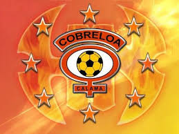 Check spelling or type a new query. 15 Ideas De Cobreloa En 2021 Zorros Dibujo Insignias De Futbol Arte De Zorro
