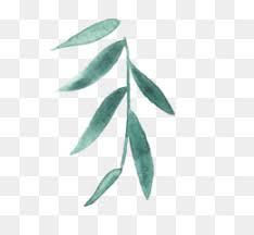Minimal Flowers Png And Minimal Flowers Transparent Clipart Free Download Cleanpng Kisspng To get more templates about posters,flyers,brochures,card,mockup,logo,video,sound,ppt,word,please visit pikbest.com. minimal flowers png and minimal flowers