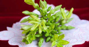 Äƒn Hoa Thien Ly Ä'á»ƒ Chá»¯a TrÄ© Giáº£i Nhiá»‡t Yáº¿u Sinh Ly