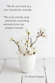 Pin By K Zee On Love For All Beings In 2020 Animal Rights Movement Stop Animal Cruelty Animal Rights