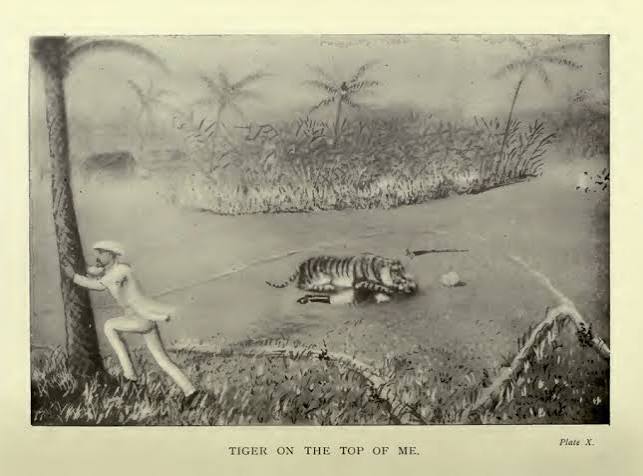 Killing the Tiger: 'Shikar' and Masculinity in Colonial India | Impart