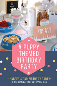 I love this creative idea for a dog birthday party, especially during the summer. Harper S Puppy Themed Birthday Party Middle Of Somewhere