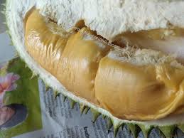 Silahkan baca artikel semalam aku melayani 4 orang sampai puasss selengkapnya di namablog. Just A Beautiful Mistake Durian Oh Durian