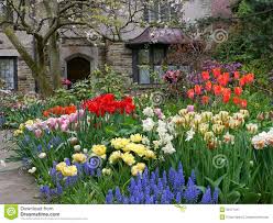 Front Yard With Spring Flowers Flower Garden Pictures Front Yard Flowers Flower Garden Images