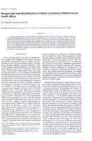 Image result for Olinia rochetiana