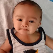 Where to find captain seats, all power, non-turbo DA17V in Davao?