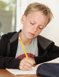 Understanding and Responding to Writing Prompts Guide