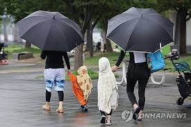 네이트 뉴스 - News update