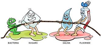One of the earliest signs of tooth decay is white spots where the minerals are broken down. The Tooth Decay Process How To Reverse It And Avoid A Cavity National Institute Of Dental And Craniofacial Research
