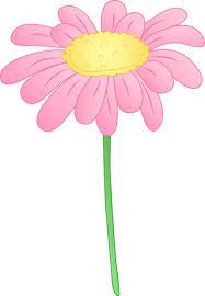 Pretty Pink Daisy Flower Cartoon Flowers Flower Clipart Flower Clip