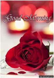 Good Morning Have A Blessed Day Good Morning Flowers Good Morning Roses Good Morning Greetings