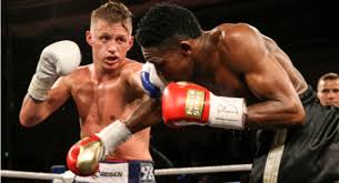 Wioleta borkowska firma konsultingowa impas s.c. Sebastian Formella Boxer Page Tapology