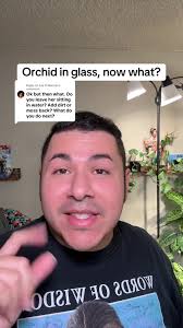 Caring for Orchids in Glass Containers