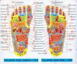 Pijat refleksi pada telapak kaki| titik refleksi #pijat#refleksi#traditional# pijat, pijit, atau urut adalah metode penyembuhan. Titik Pijat Refleksi Kaki Tentang Bintang