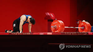 식물을 제외한 다른 동음이의어에 대한 내용은 나무(동음이의어) 문서. Nln S8xhxc3rim