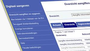 Vanaf 1 maart 2020 doet u digitaal aangifte inkomstenbelasting over het jaar 2019. Voorbeeld Aangifte Inkomstenbelasting Voor Zzp Met Eenmanszaak