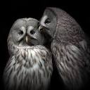 Angela Parsley, Whispering Owl Yoga