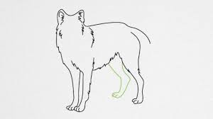 How To Draw A Wolf Step By Step - Youtube