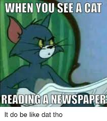 When You See A Cat Reading A Newspaper Be Like Meme On Me Me
