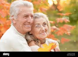 Elder leaves autumn hi-res stock photography and images