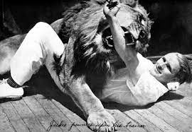 Smartphone with amazon logo is seen in front of displayed mgm logo in this illustration taken. Rotations And Crashes The Lives Of The Lions From The Mgm Credits Bird In Flight
