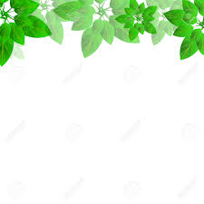 If i remove the left indent the table renders properly (that is the left indent is not moving the table border to the left). Summer Or Spring Leaves Banner Concept Stylish Background With Royalty Free Cliparts Vectors And Stock Illustration Image 124991370