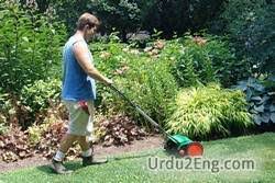 Motor mower meanings in urdu is موٹر کاٹنے والا motor mower in urdu. Mower Urdu Meanings