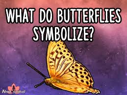 We did not find results for: What Do Butterflies Symbolize 4 Powerful Meanings And Symbolism About Spiritual