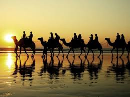 To date, the main criteria for the separation of families are Camel Ride On A Beach With Combo Experiences In Bali From Nusa Dua Tours Activities Fun Things To Do In Bali Indonesia Veltra