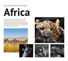 Predators, herbivores, and omnivores at out of africa not only display the rhythms of africa but beautifully manifest the colors of the animal world. Ten African Animals Static Site Generator